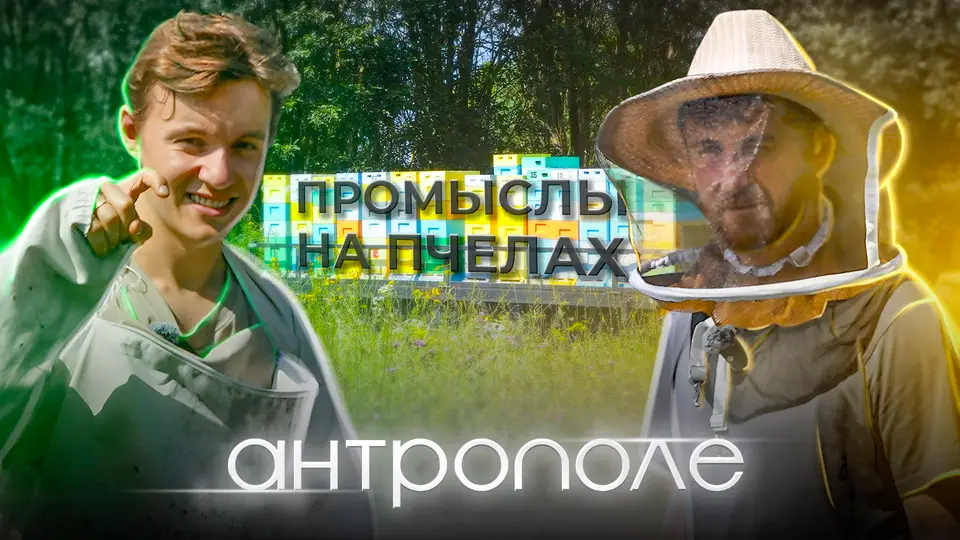 Превью