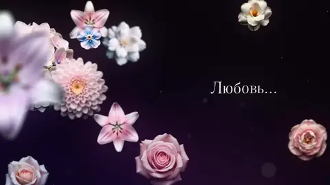 Графика